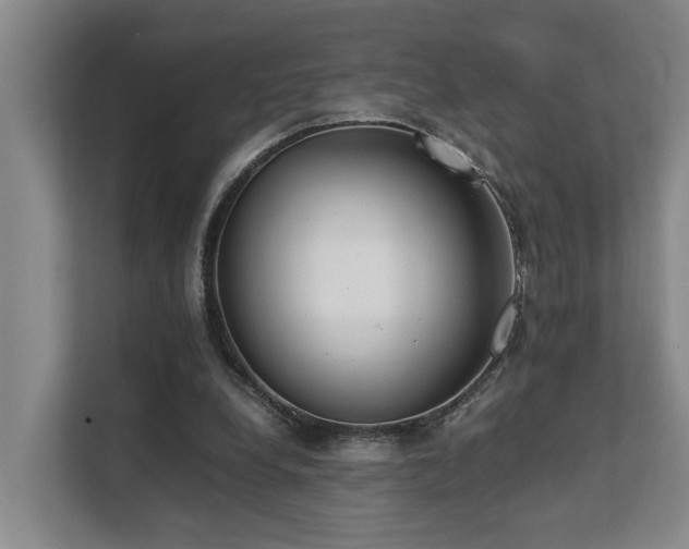 X0000111350248200907101216