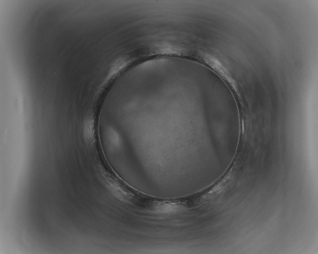 X0000111350249200907101216