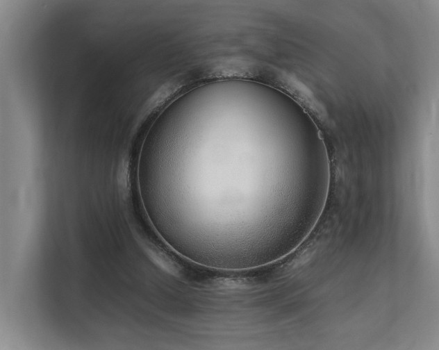 X0000111350250200907101216