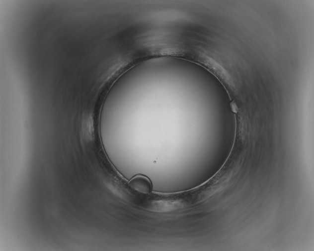 X0000111350251200907101216