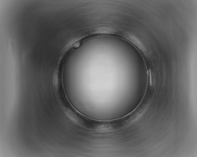 X0000111350252200907101216