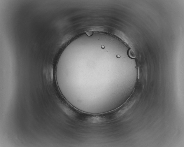 X0000111350253200907101216