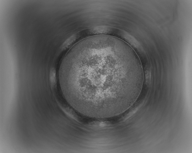 X0000111350254200907101216