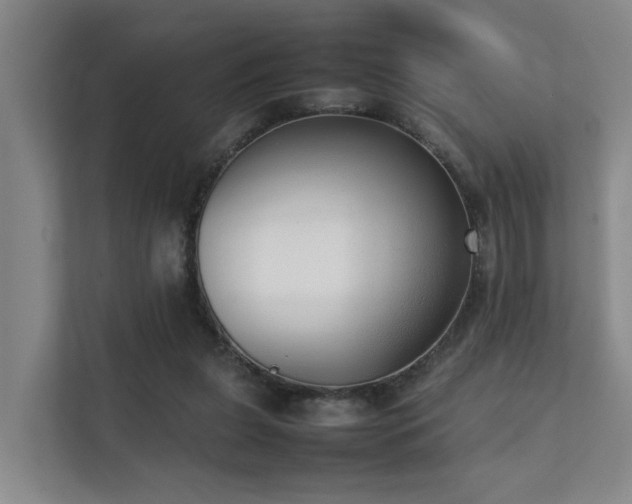 X0000111350255200907101216