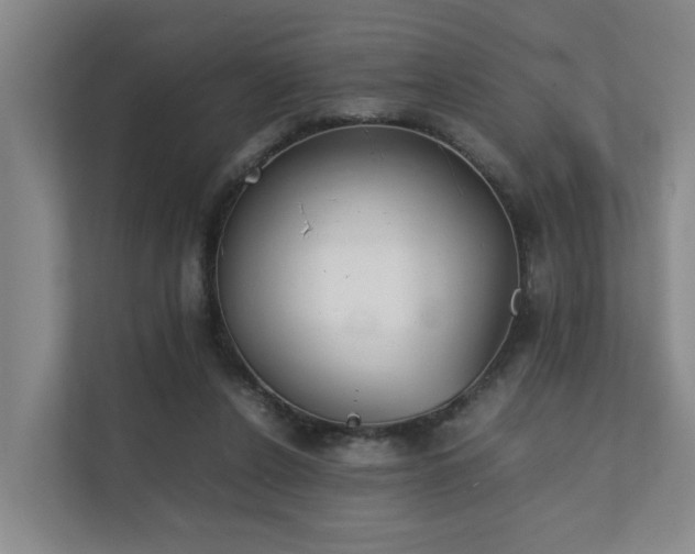 X0000111350256200907101216