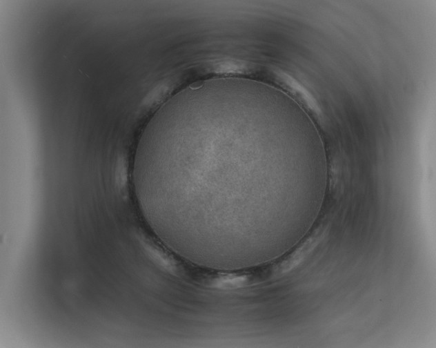 X0000111350257200907101216