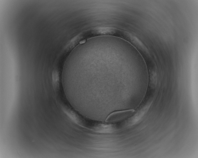 X0000111350260200907101216