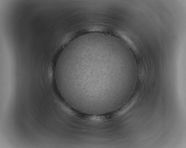 X0000111350261200907101216