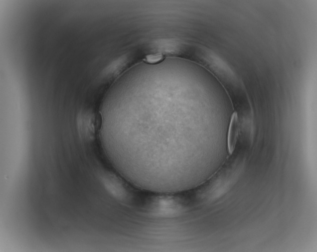 X0000111350264200907101216