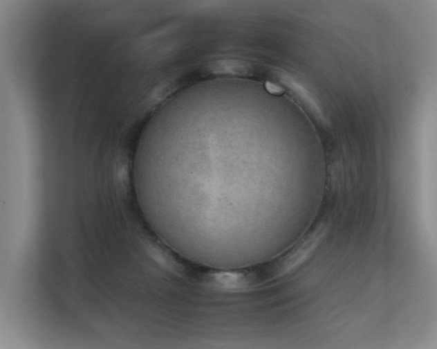 X0000111350265200907101216