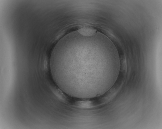 X0000111350266200907101216