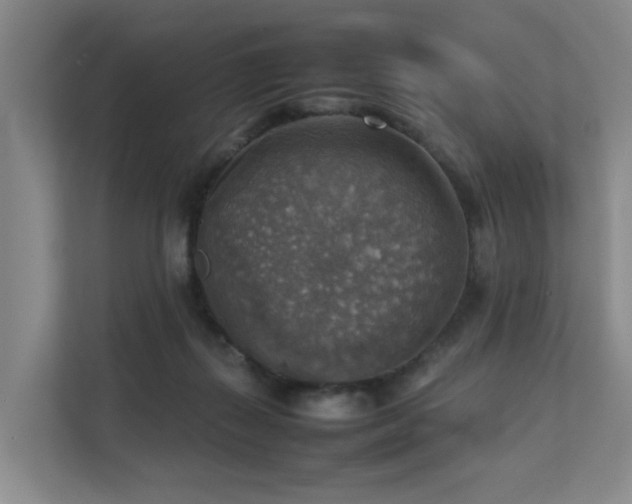 X0000111350267200907101216