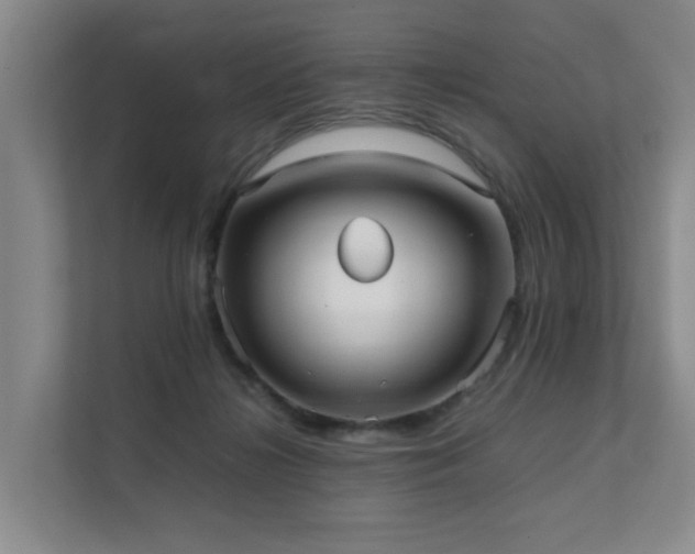 X0000111350268200907101216