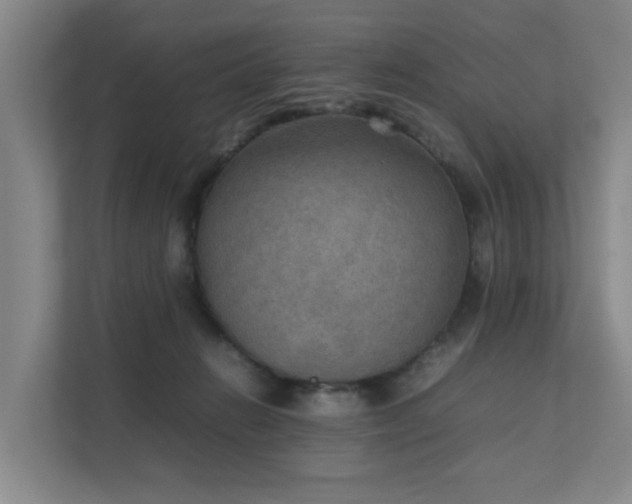 X0000111350270200907101216