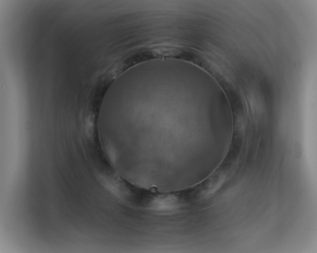 X0000111350271200907101216