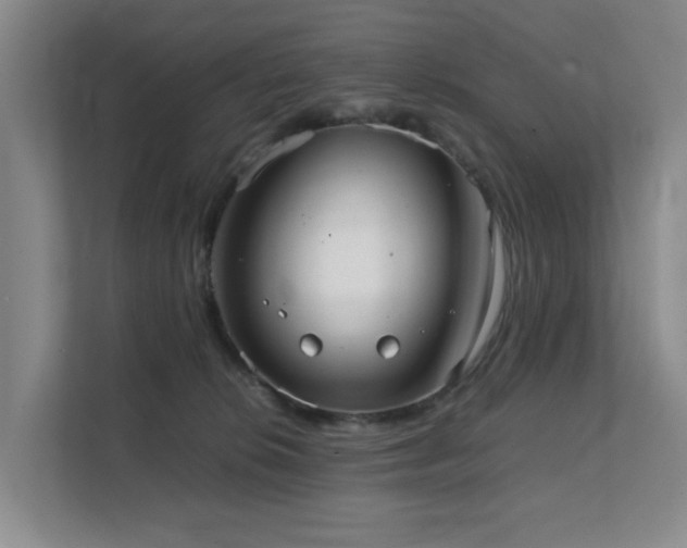 X0000111350276200907101216