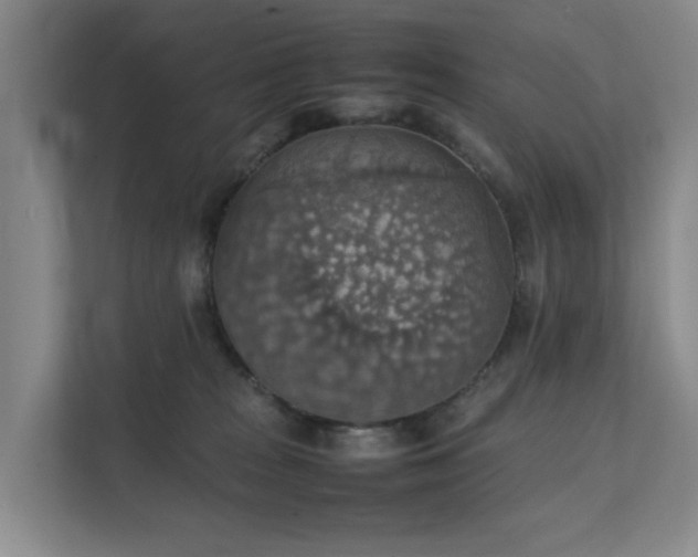 X0000111350277200907101216