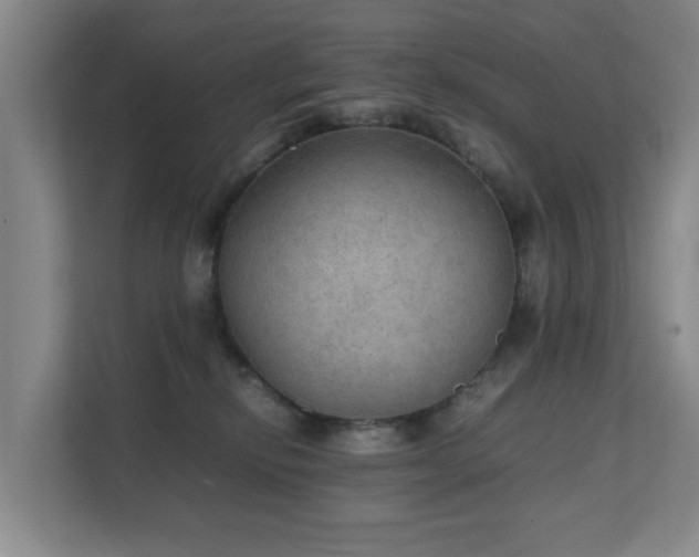 X0000111350278200907101216