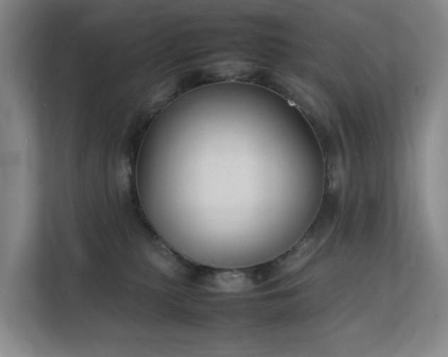 X0000111350279200907101216