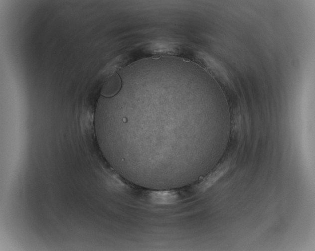 X0000111350281200907101216