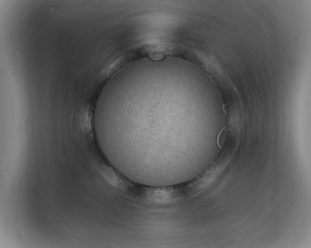 X0000111350282200907101216