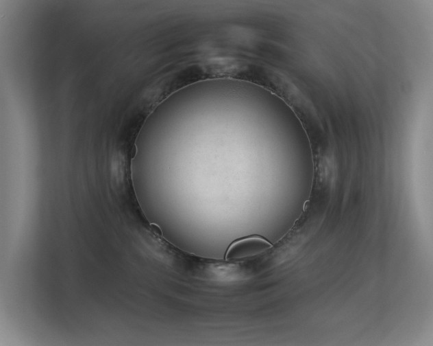 X0000111350283200907101216