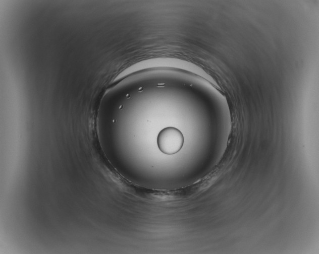 X0000111350284200907101216