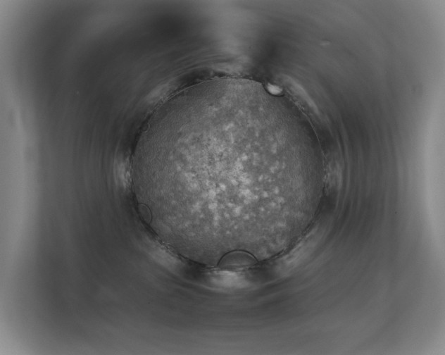 X0000111350285200907101216