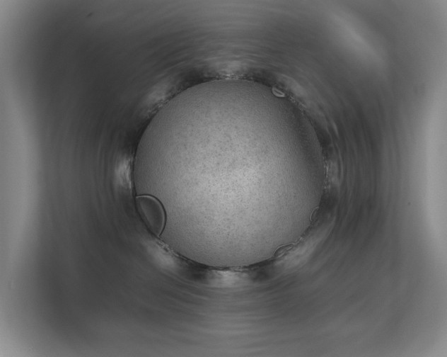 X0000111350286200907101216