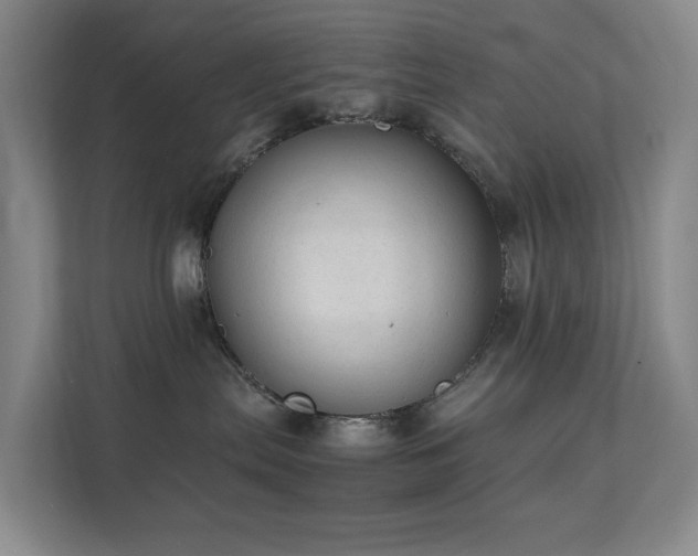 X0000111350287200907101216