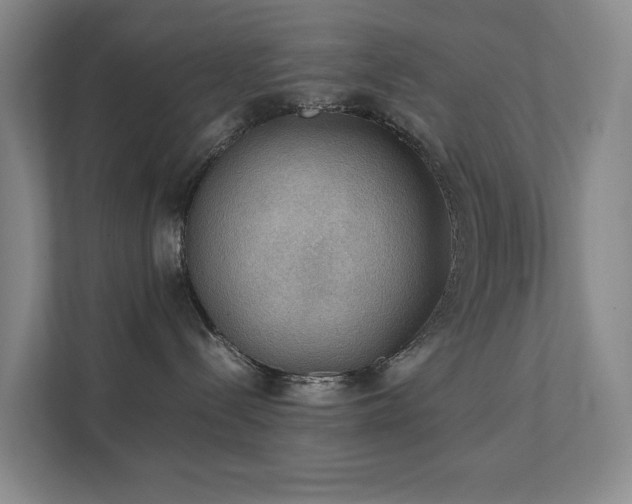 X0000111350288200907101216