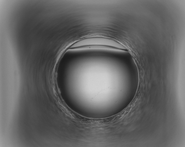 X0000111350289200907101216