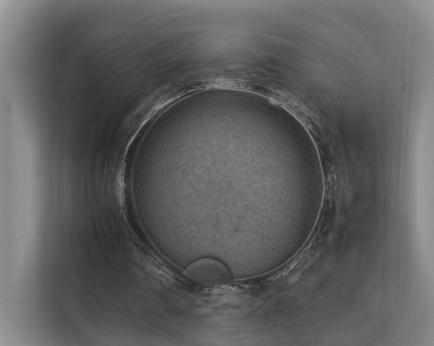 X0000111350290200907101216