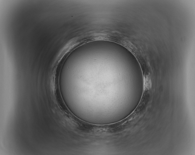 X0000111350291200907101216