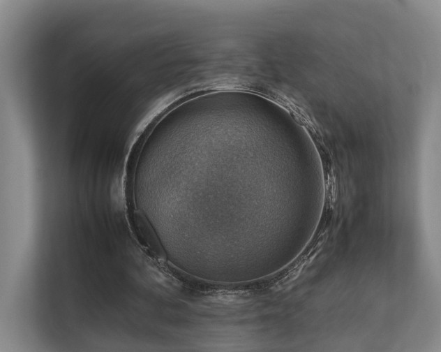 X0000111350292200907101216