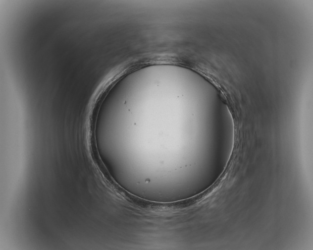 X0000111350293200907101216