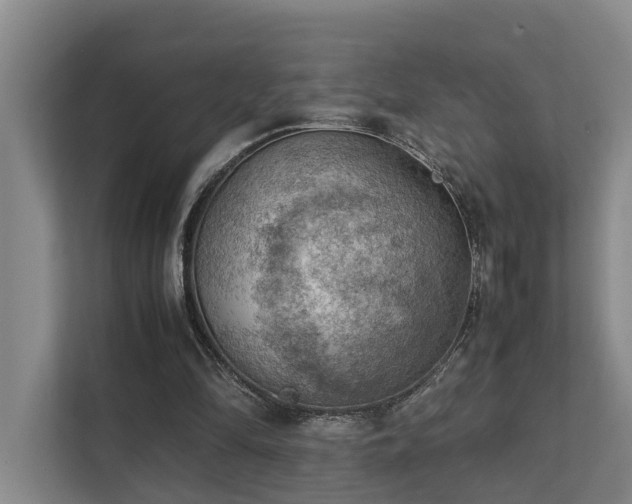 X0000111350294200907101215