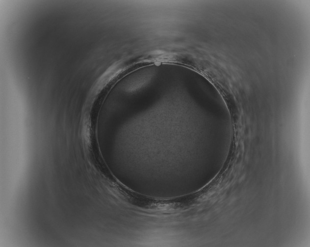 X0000111350295200907101215