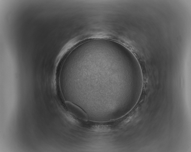 X0000111350296200907101215