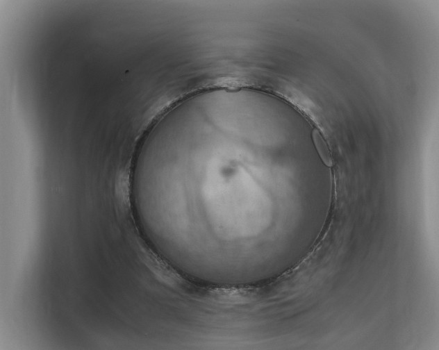 X0000111350297200907101215