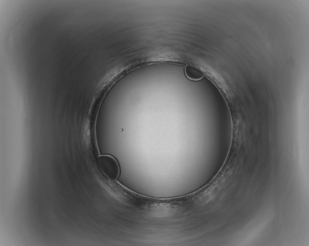 X0000111350298200907101215