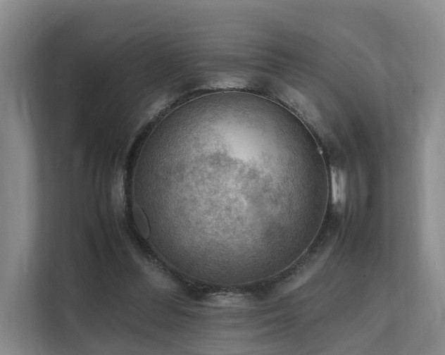 X0000111350300200907101215