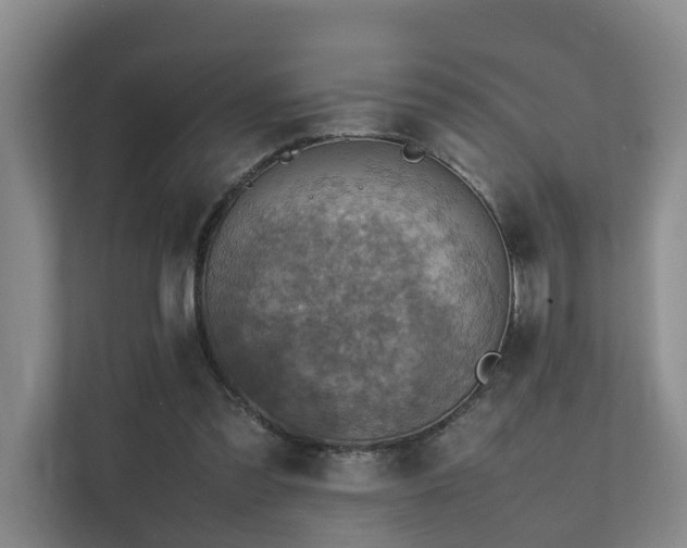 X0000111350301200907101215