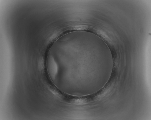 X0000111350303200907101215