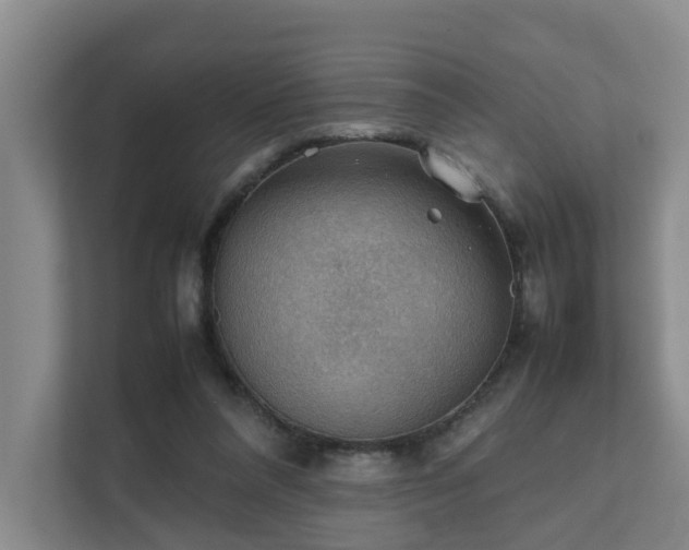 X0000111350304200907101215