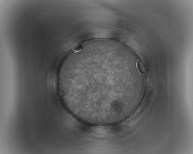 X0000111350305200907101215