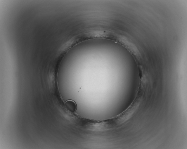 X0000111350306200907101215