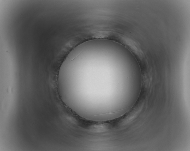 X0000111350307200907101215