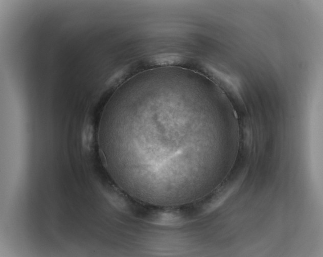 X0000111350308200907101215