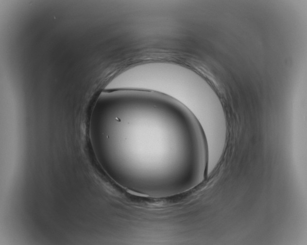 X0000111350309200907101215